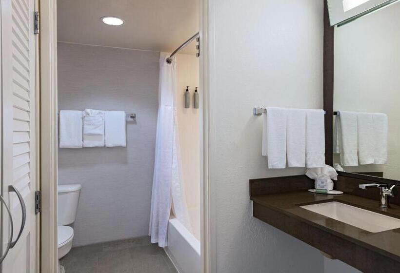 اتاق استاندارد با 2 تخت دوبل, Courtyard By Marriott Austin The Domain Area