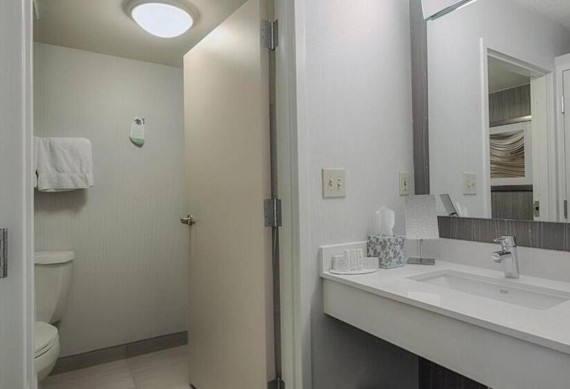 Номер Стандарт 2 Двуспальные Кровати, Courtyard By Marriott Dallas Dfw Airport North/irving