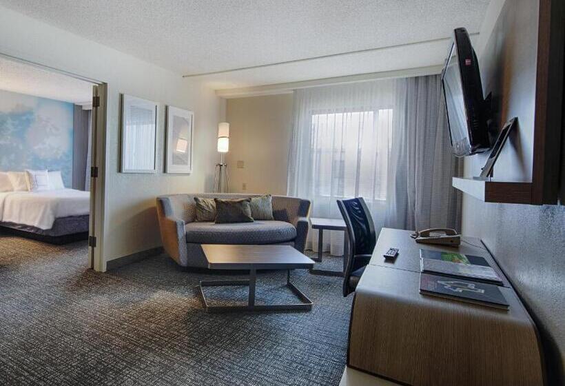 Suíte Cama King, Courtyard By Marriott Dallas Dfw Airport North/irving
