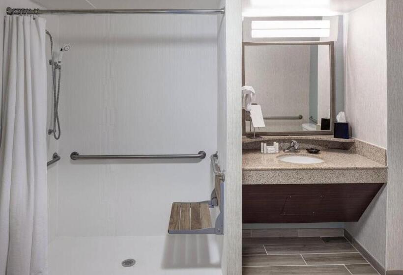 اتاق استاندارد با تخت بزرگ, Courtyard Virginia Beach Oceanfront/south