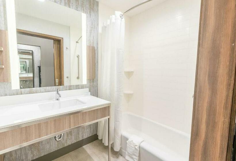 اتاق استاندارد برای معلولان, Hilton Garden Inn Wichita Downtown
