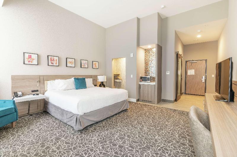 اتاق استاندارد با تخت بزرگ, Hilton Garden Inn Wichita Downtown