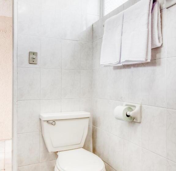 スタンダード４人部屋, Capital O Hotel La Siesta, Gomez Palacio