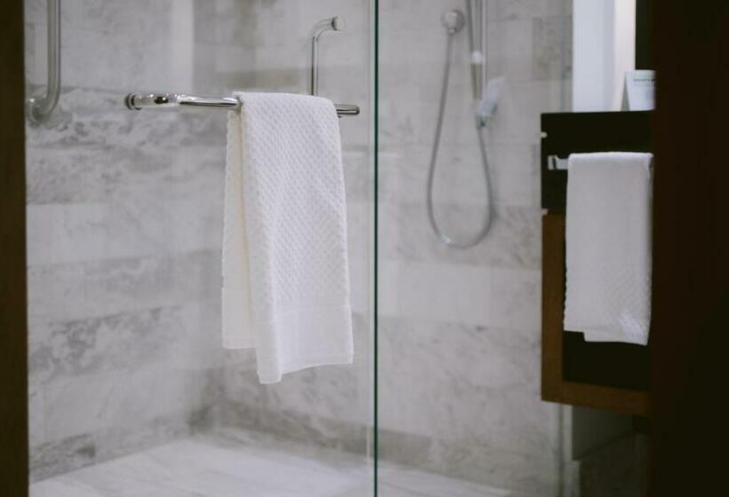 اتاق استاندارد با تخت بزرگ, Doubletree By Hilton Celaya