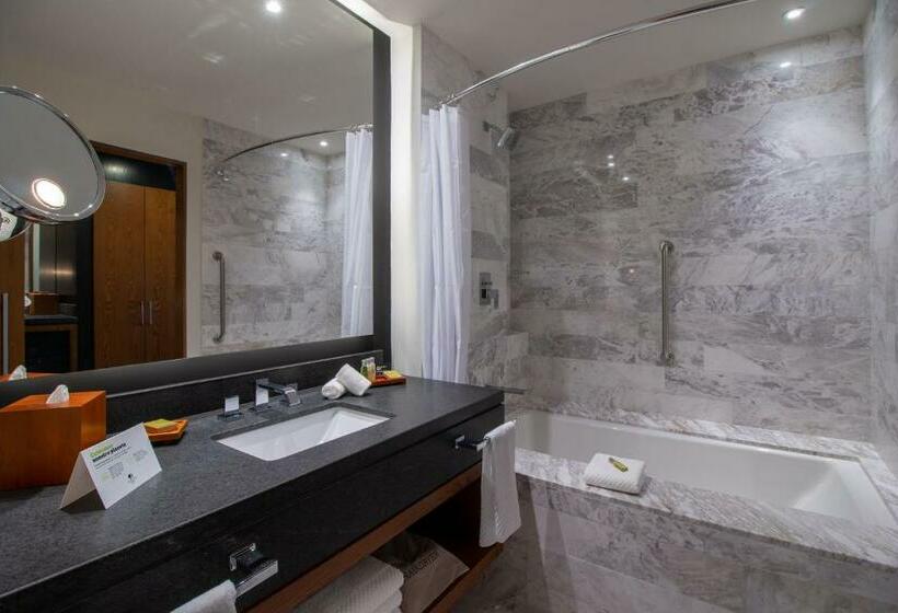 اتاق استاندارد, Doubletree By Hilton Celaya