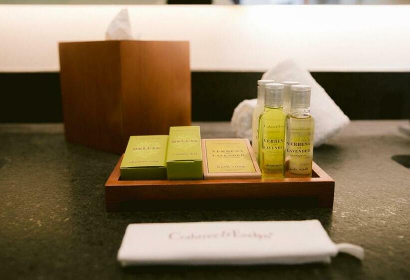 اتاق لوکس, Doubletree By Hilton Celaya