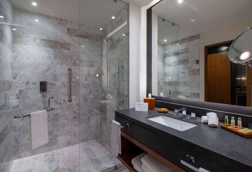 اتاق لوکس, Doubletree By Hilton Celaya