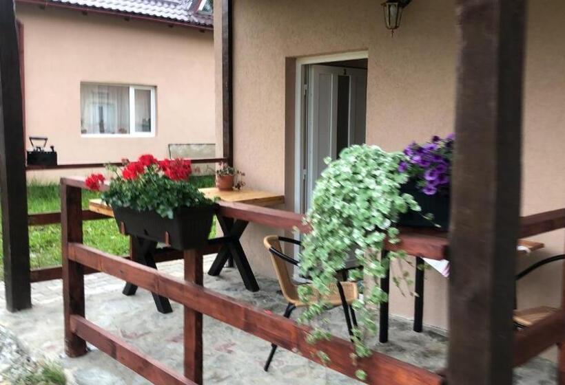 اتاق استاندارد با تخت بزرگ, Casa Albert Valea Avrigului