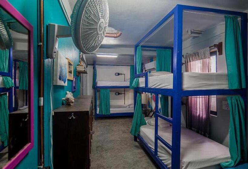 تختخواب در اتاق مشترک, Drift Inn San Pedro