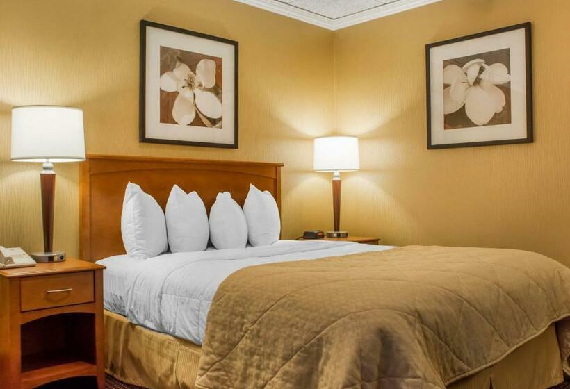 Стандартный Номер Кровать Кинг, Clarion Hotel & Suites Riverfront
