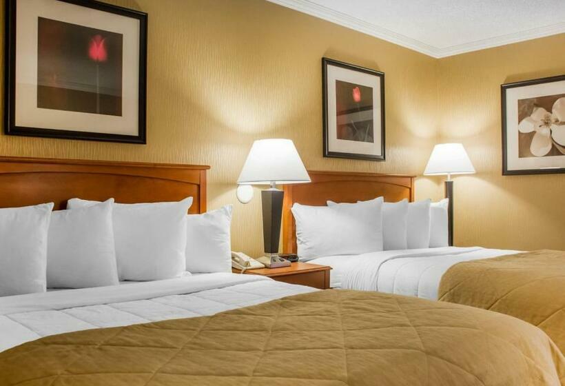 Номер Стандарт Вид на Город, Clarion Hotel & Suites Riverfront