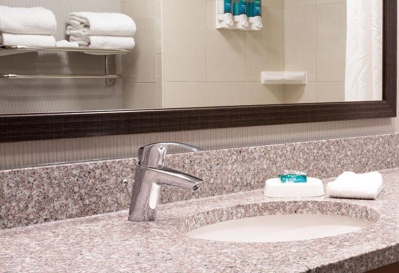 障害者適応デラックスルーム, Drury Inn And Suites St Louis Union Station