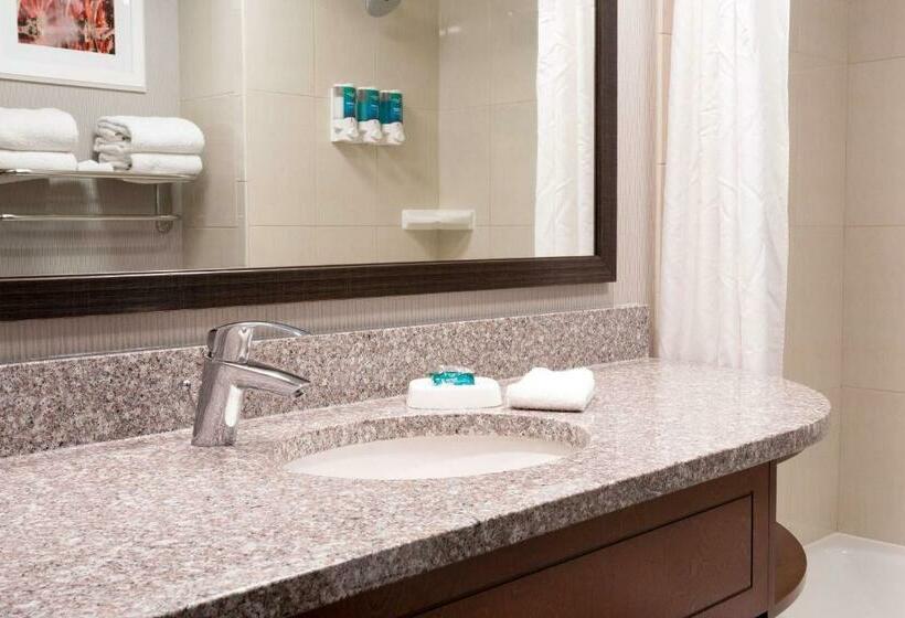 デラックスルーム, Drury Inn And Suites St Louis Union Station