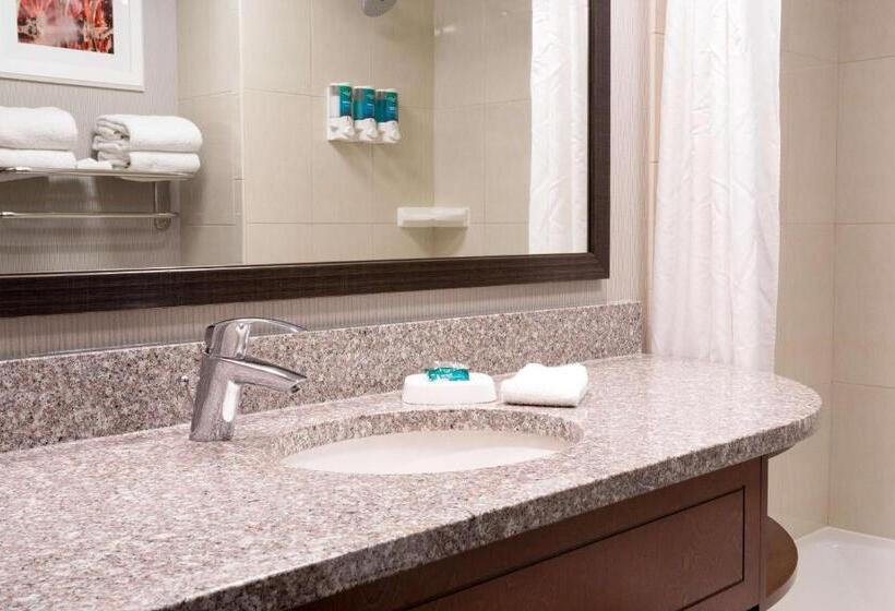 障害者適応デラックスルーム, Drury Inn And Suites St Louis Union Station