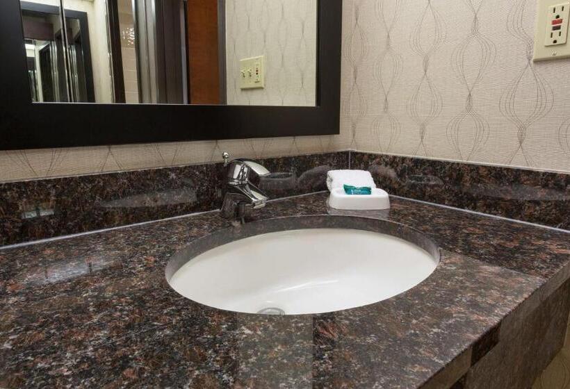 Номер Deluxe, Heritage Inn Suites Houston Sugar Land, Trademark By Wyndham