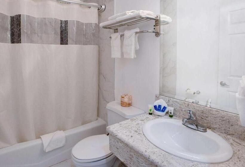 스탠다드 룸 킹사이즈 침대, Rodeway Inn & Suites Pasadena