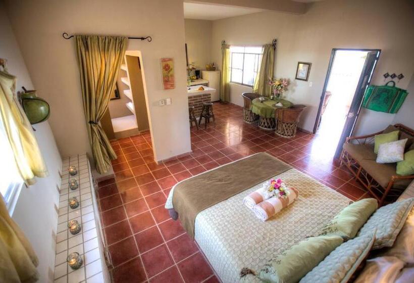 スタンダードスタジオ, La Quinta Del Sol