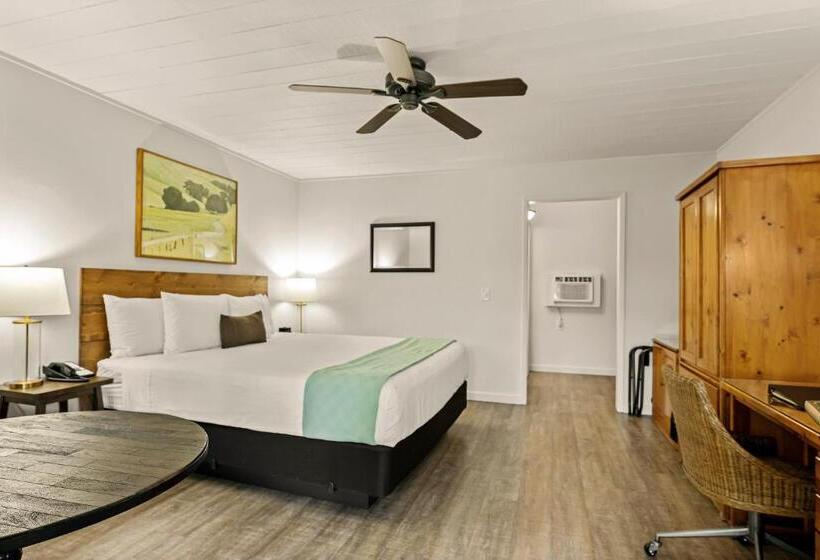 스탠다드 룸 킹사이즈 침대, El Pueblo Inn