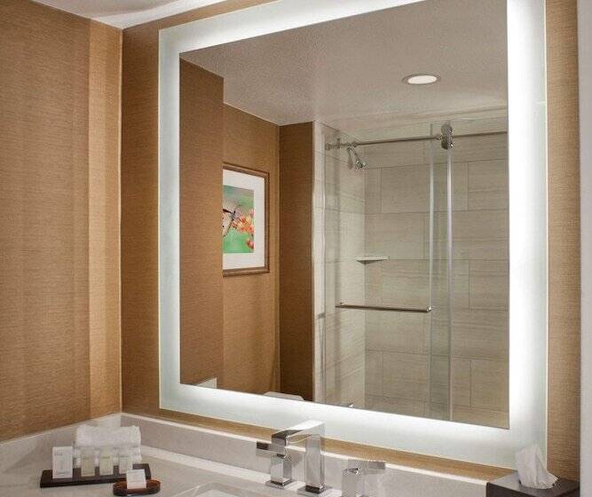 ２ベッドスイートルーム, Embassy Suites By Hilton Dallas Near The Galleria