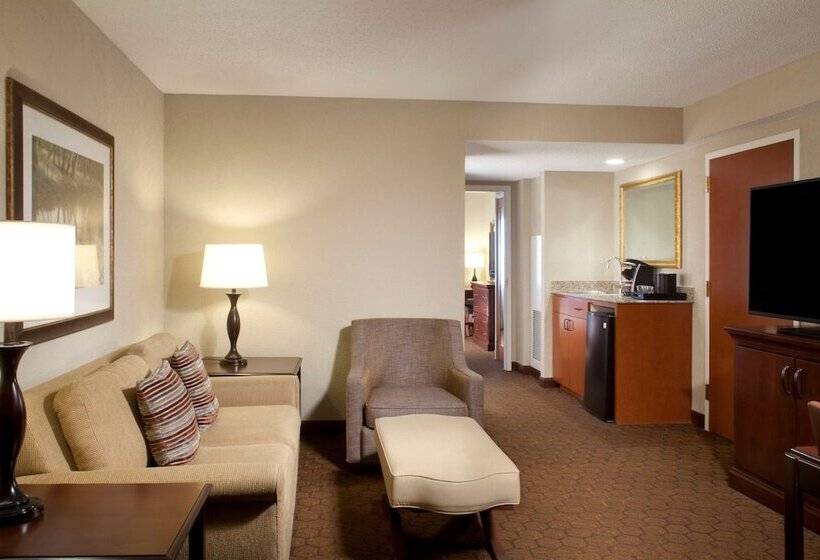 プレミアムスイート２ベッドルーム, Embassy Suites By Hilton Dallas Near The Galleria