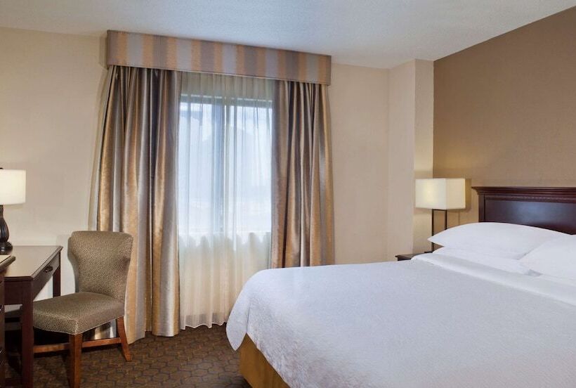 プレミアムスイート, Embassy Suites By Hilton Dallas Near The Galleria