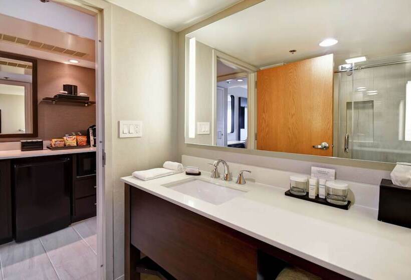 سوئیت پریمیوم, Embassy Suites By Hilton Raleigh Durham Research Triangle