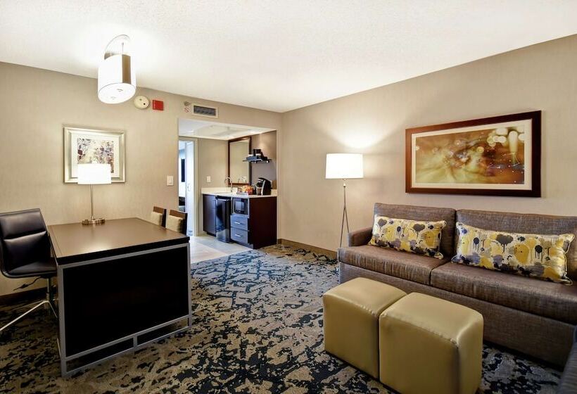 سوئیت پریمیوم, Embassy Suites By Hilton Raleigh Durham Research Triangle