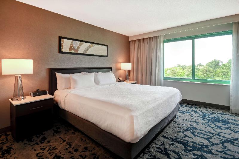 سوئیت پریمیوم, Embassy Suites By Hilton Raleigh Durham Research Triangle