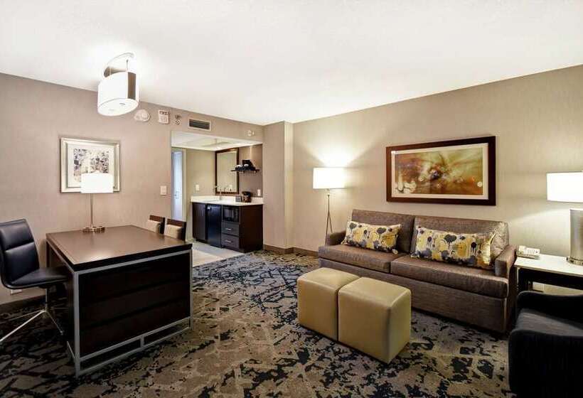 اتاق استاندارد, Embassy Suites By Hilton Raleigh Durham Research Triangle