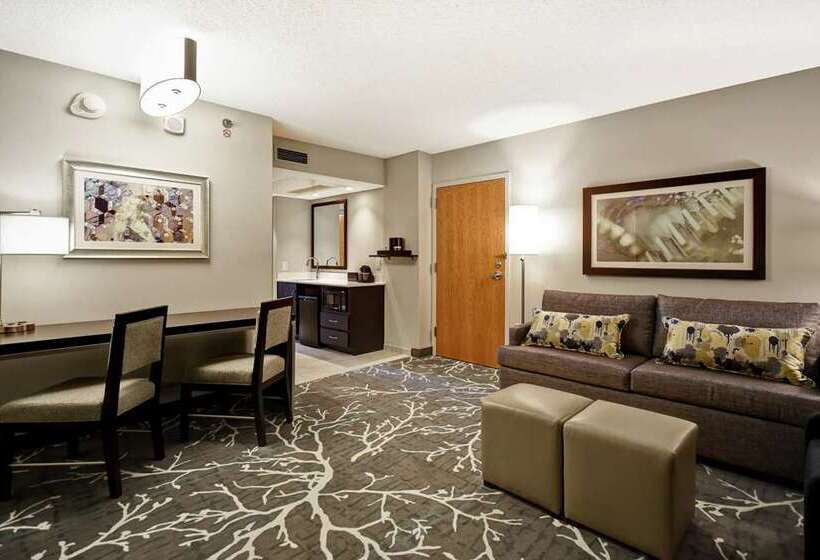 اتاق استاندارد, Embassy Suites By Hilton Raleigh Durham Research Triangle