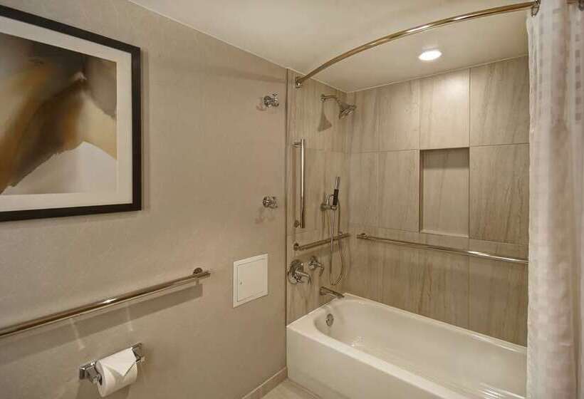 اتاق استاندارد, Embassy Suites By Hilton Raleigh Durham Research Triangle