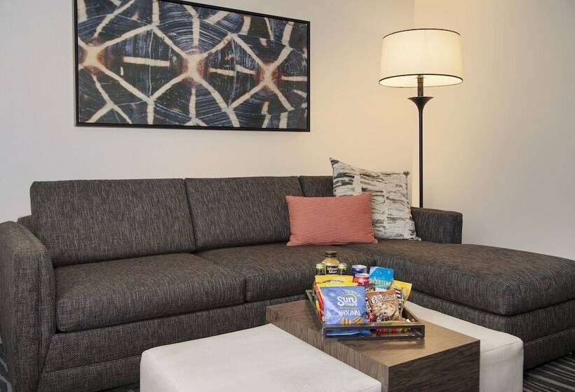 سوئیت پریمیوم, Embassy Suites By Hilton Orlando Airport