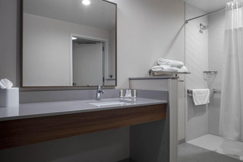 سوئیت با تخت بزرگ, Fairfield By Marriott Inn & Suites Dallas Dfw Airport North, Irving