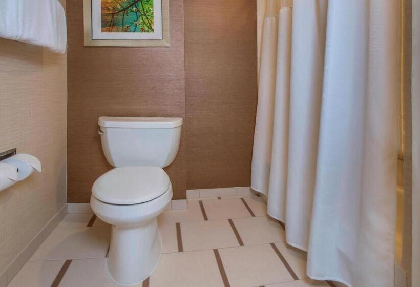 스탠다드 룸 킹사이즈 침대, Fairfield Inn & Suites By Marriott Frederick