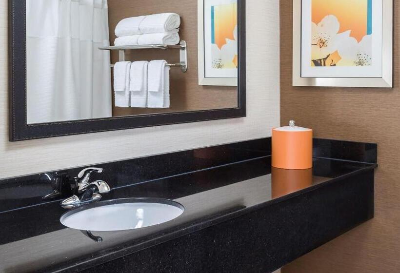Стандартный Номер Кровать Кинг, Fairfield Inn & Suites Springfield