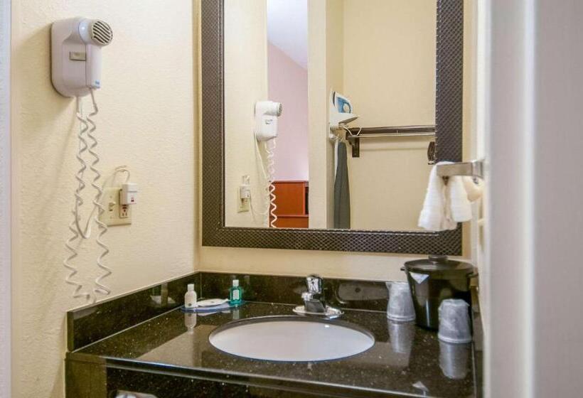 Люкс Кровать Кинг, Quality Inn & Suites