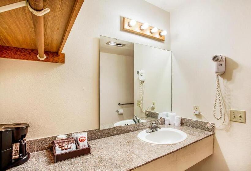 Номер Стандарт Кровать Кинг Адаптированный для Инвалидов, Arlington Motor Inn
