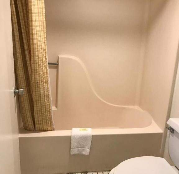シングルデラックスルーム, Flamingo Inn