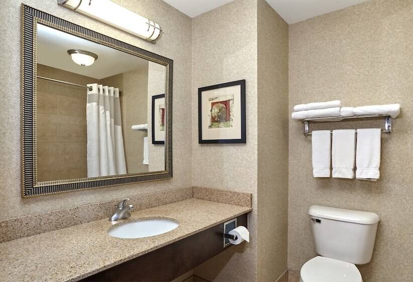 套房, Holiday Inn Express & Suites Madison Verona, An Ihg