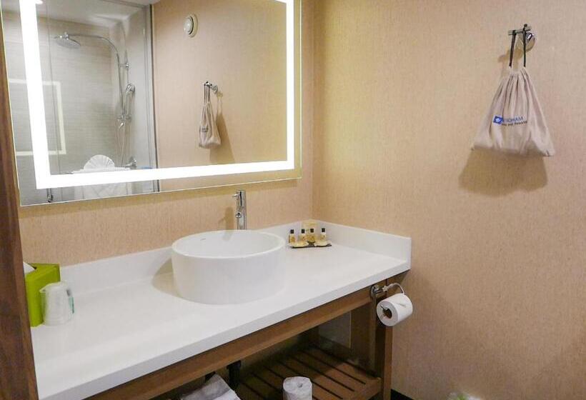 اتاق استاندارد با تخت بزرگ, Wyndham Anaheim