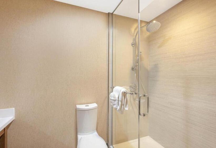اتاق استاندارد با تخت بزرگ, Wyndham Anaheim