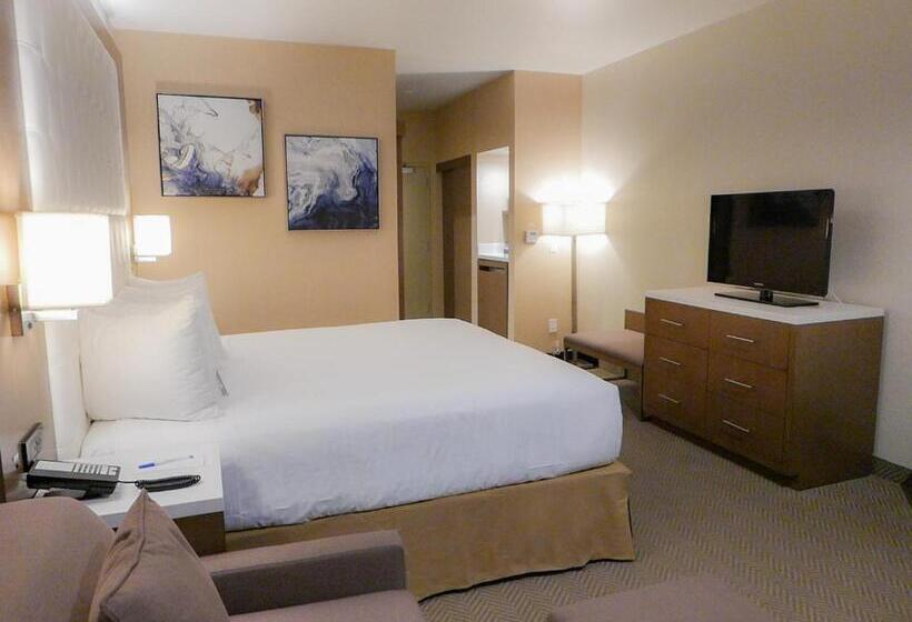 اتاق استاندارد با تخت بزرگ, Wyndham Anaheim