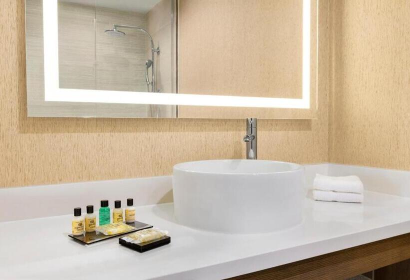 اتاق استاندارد, Wyndham Anaheim