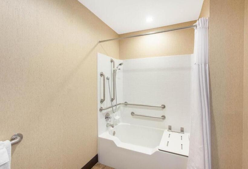 اتاق استاندارد برای معلولان, Wyndham Anaheim