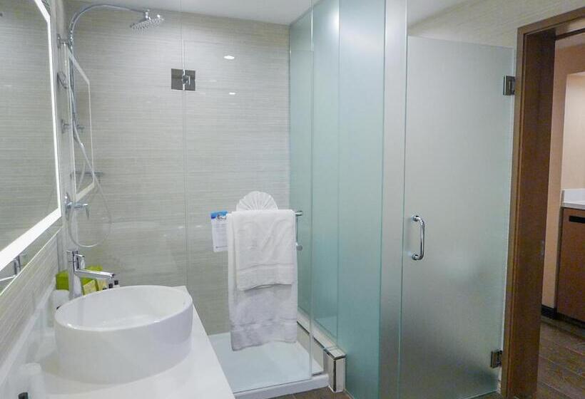 سوئیت با تخت بزرگ, Wyndham Anaheim