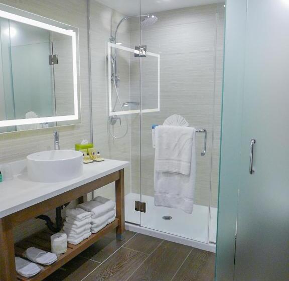 سوئیت با تخت بزرگ, Wyndham Anaheim