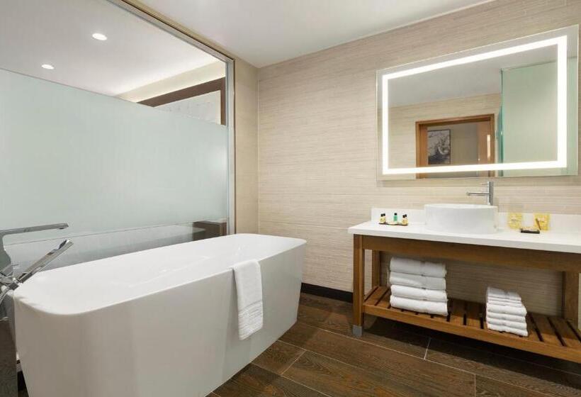 سوئیت با تخت بزرگ, Wyndham Anaheim