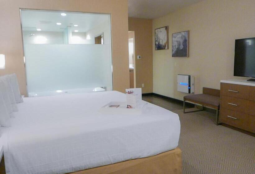سوئیت با تخت بزرگ, Wyndham Anaheim