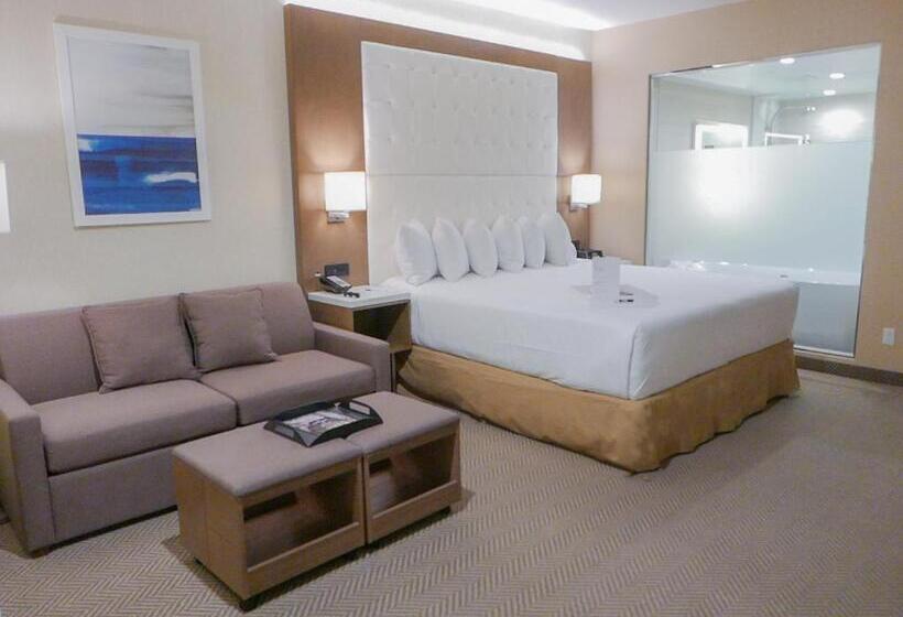 سوئیت با تخت بزرگ, Wyndham Anaheim
