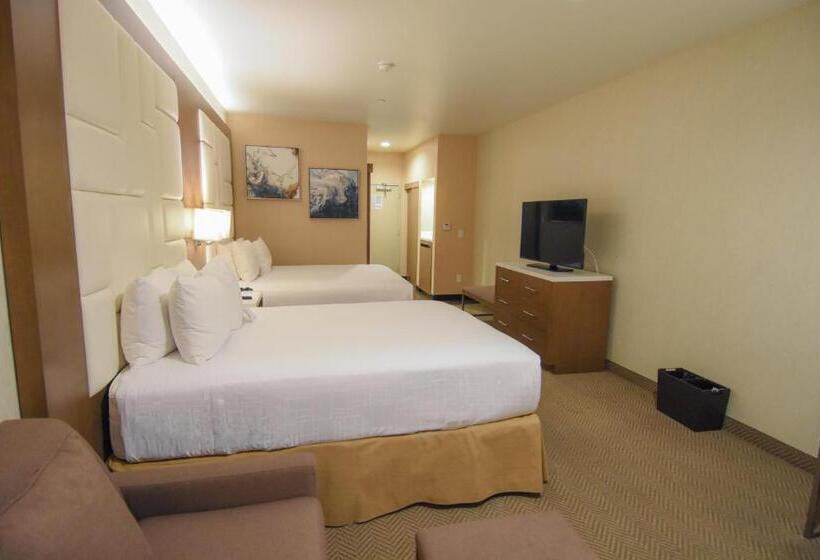 اتاق دلوکس مخصوص معلولین, Wyndham Anaheim